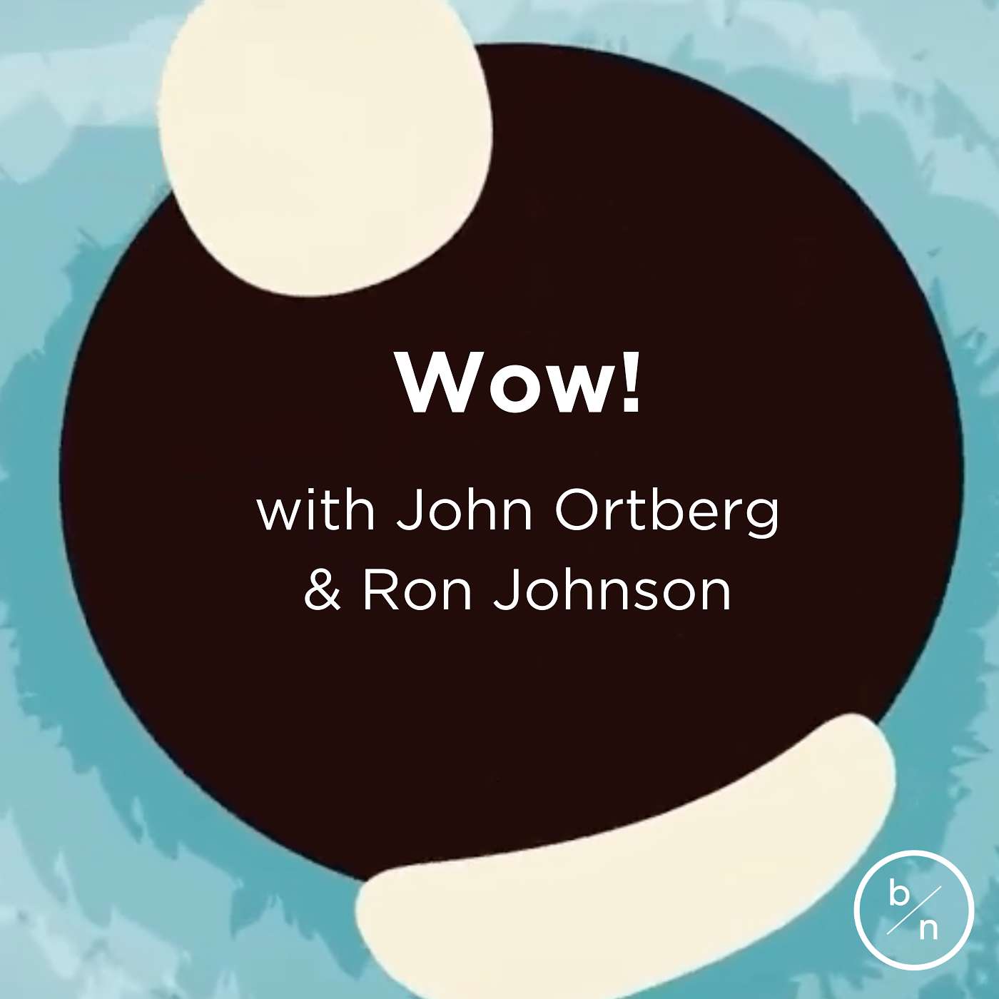9. Wow! | John Ortberg & Ron Johnson