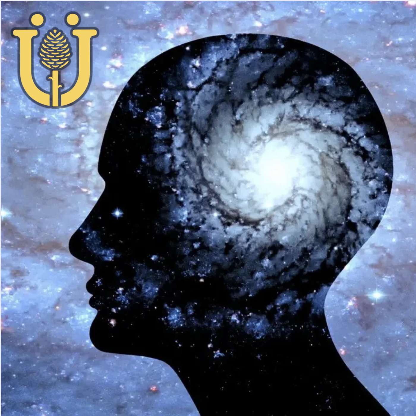 18. Is the examined life worth living? Nietzsche and the curse of consciousness
