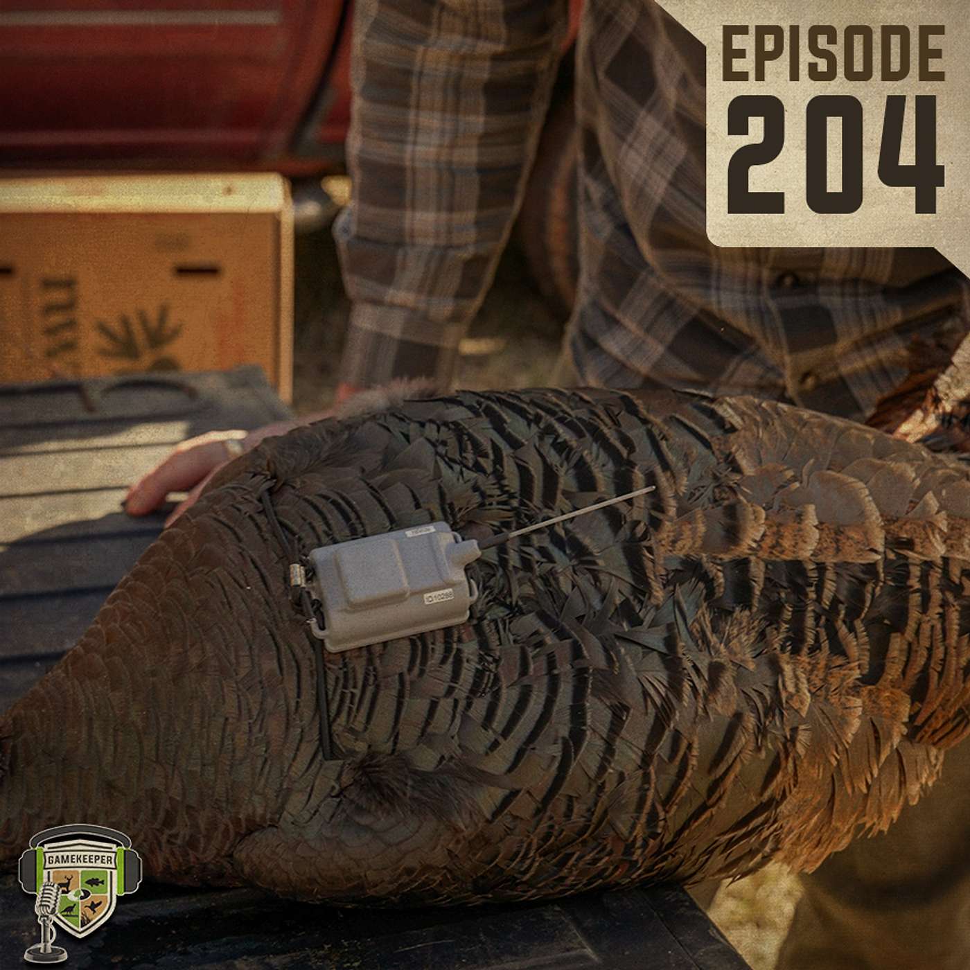 EP:204 | Wild Turkeys and Old Bucks