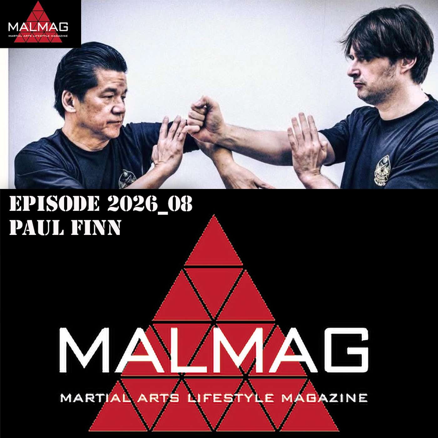 The Martial Arts Lifestyle Podcast