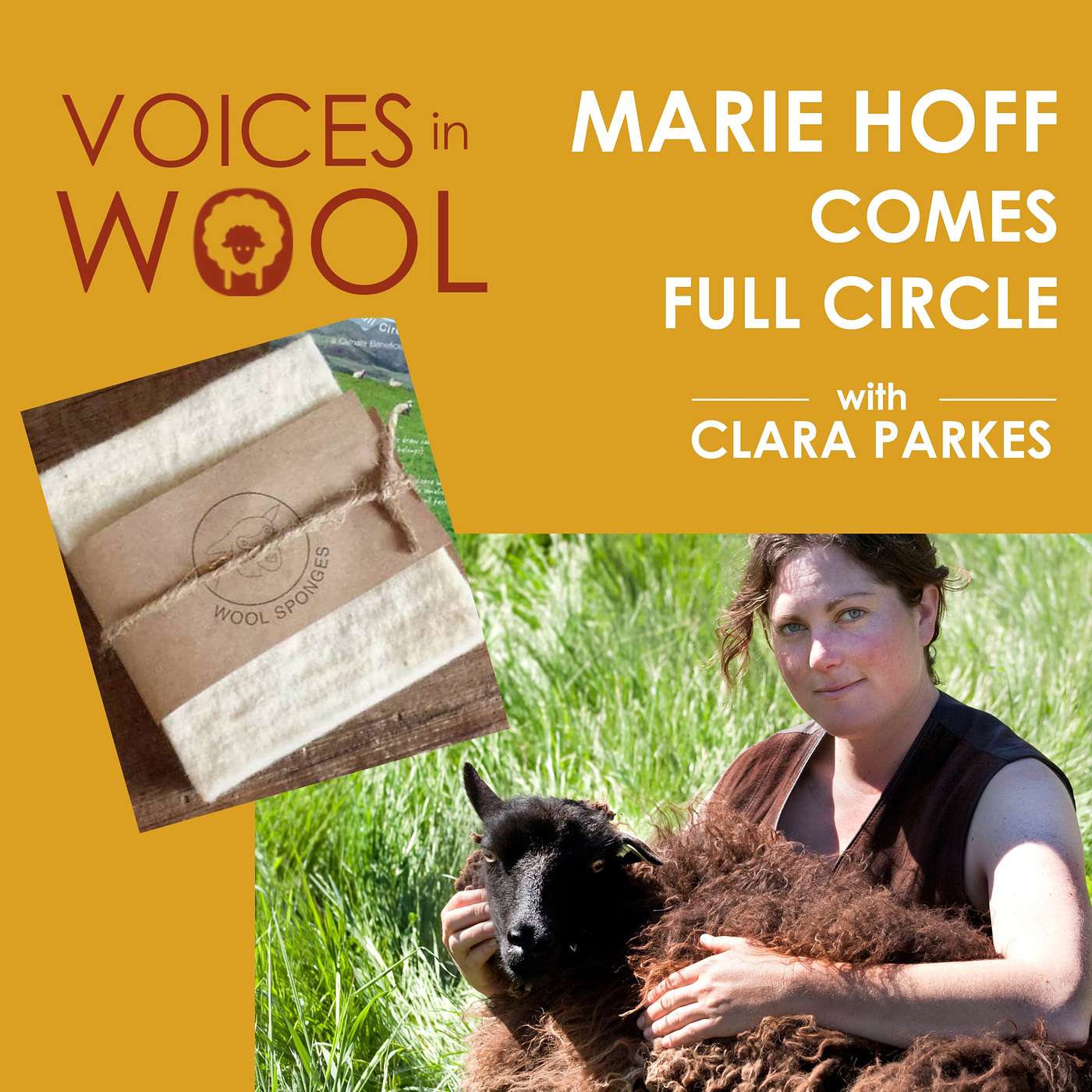 Healing the Planet One Wool Sponge at a Time: A Conversation with Marie Hoff Healing the Planet One Wool Sponge at a Time: A Conversation with Marie Hoff