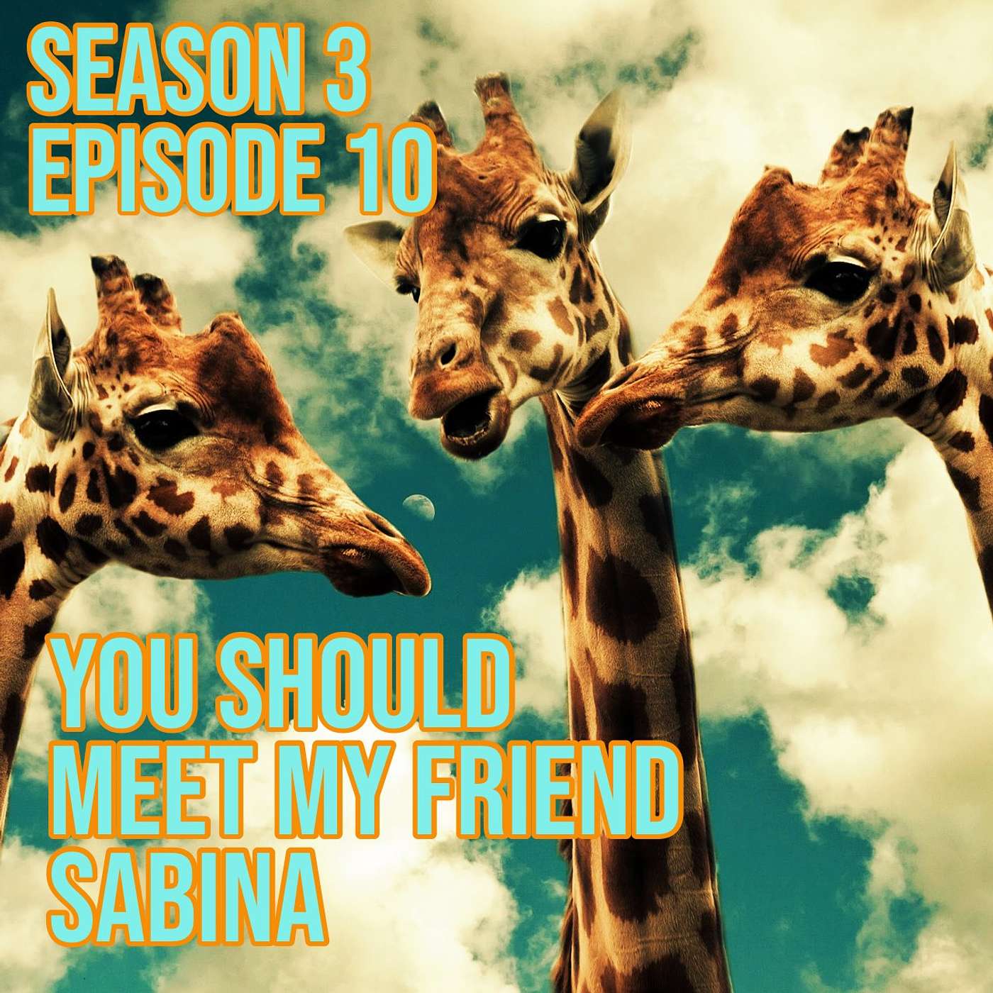 You Should Meet My Friend