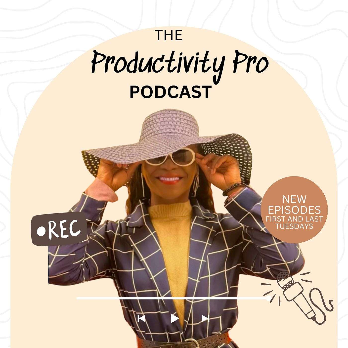 The Productivity Pro Podcast podcast artwork