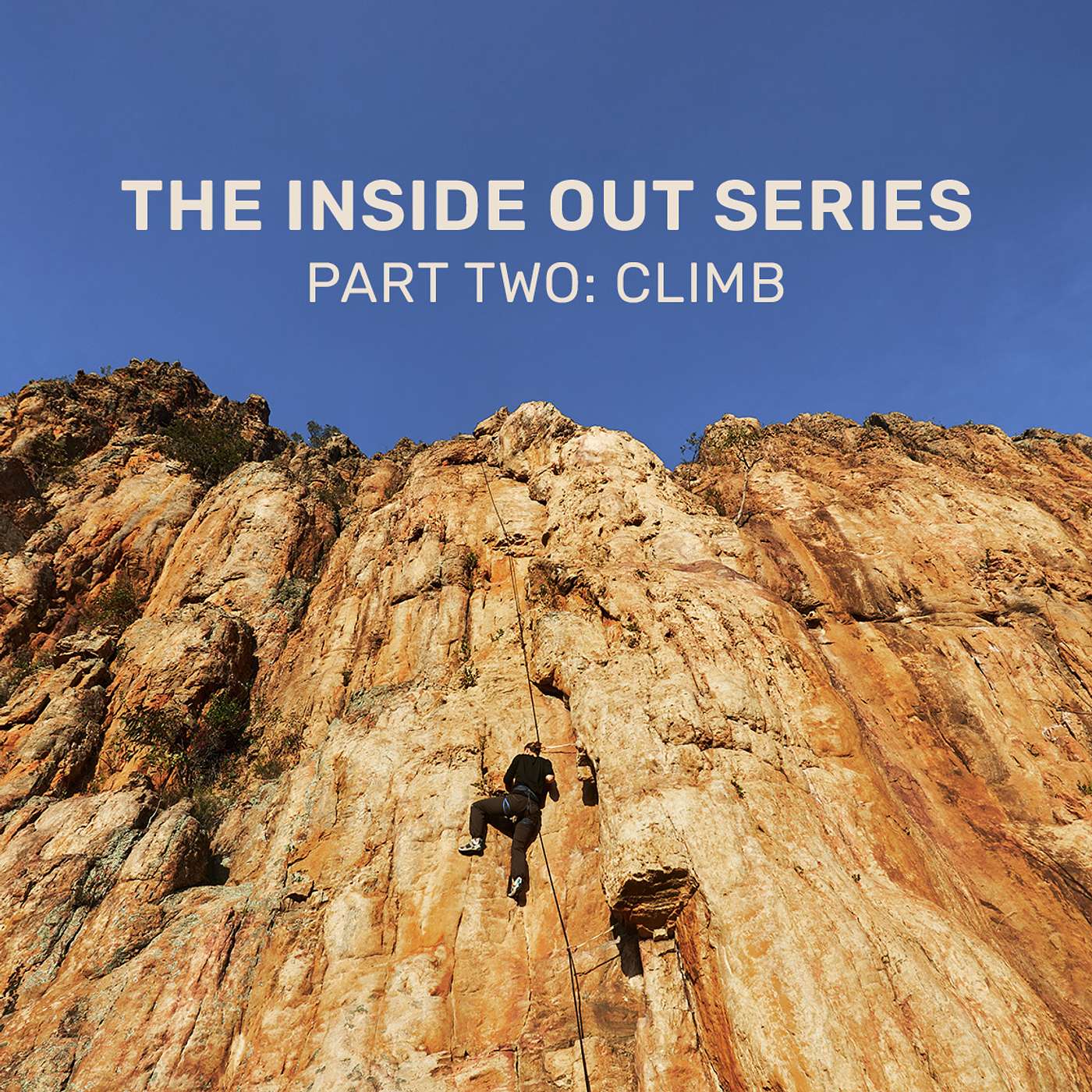 The Inside Out Series - Part Two: Climbing with QTs