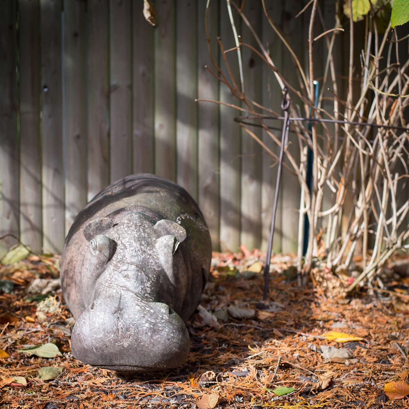 Learning to Prune – A Shift in Parenting Growing Kids