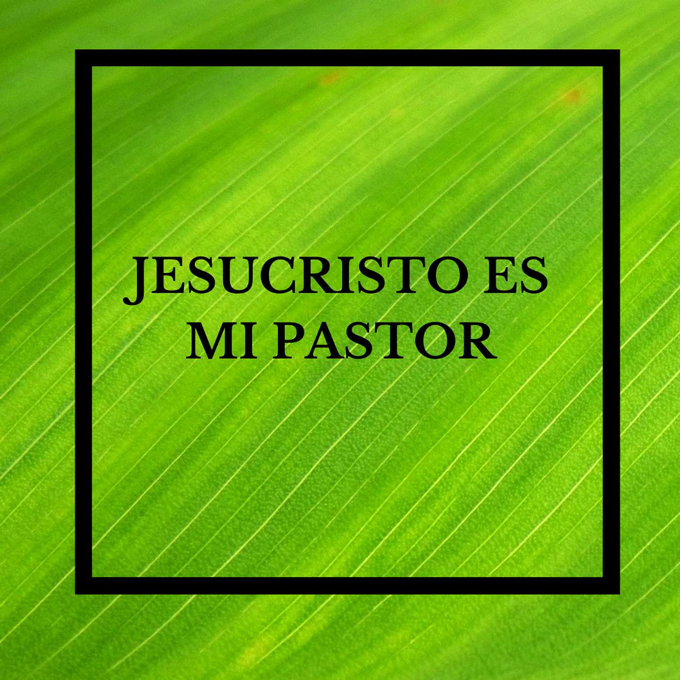 Jesucristo es mi Pastor