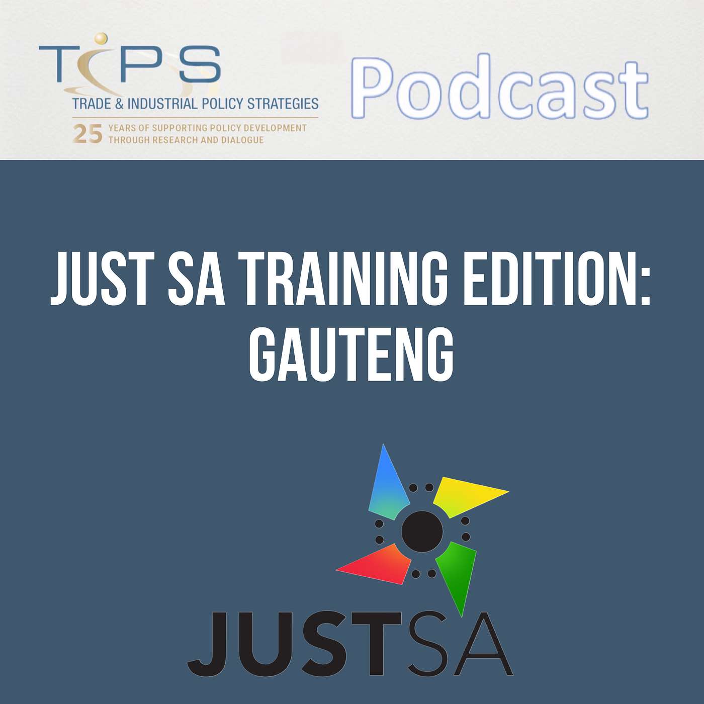 Just Transition to a Decarbonised Economy for South Africa (JUST SA): Gauteng Edition