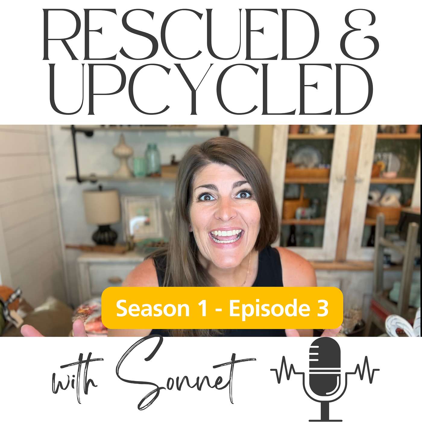 Rescued & Upcycled with Sonnet