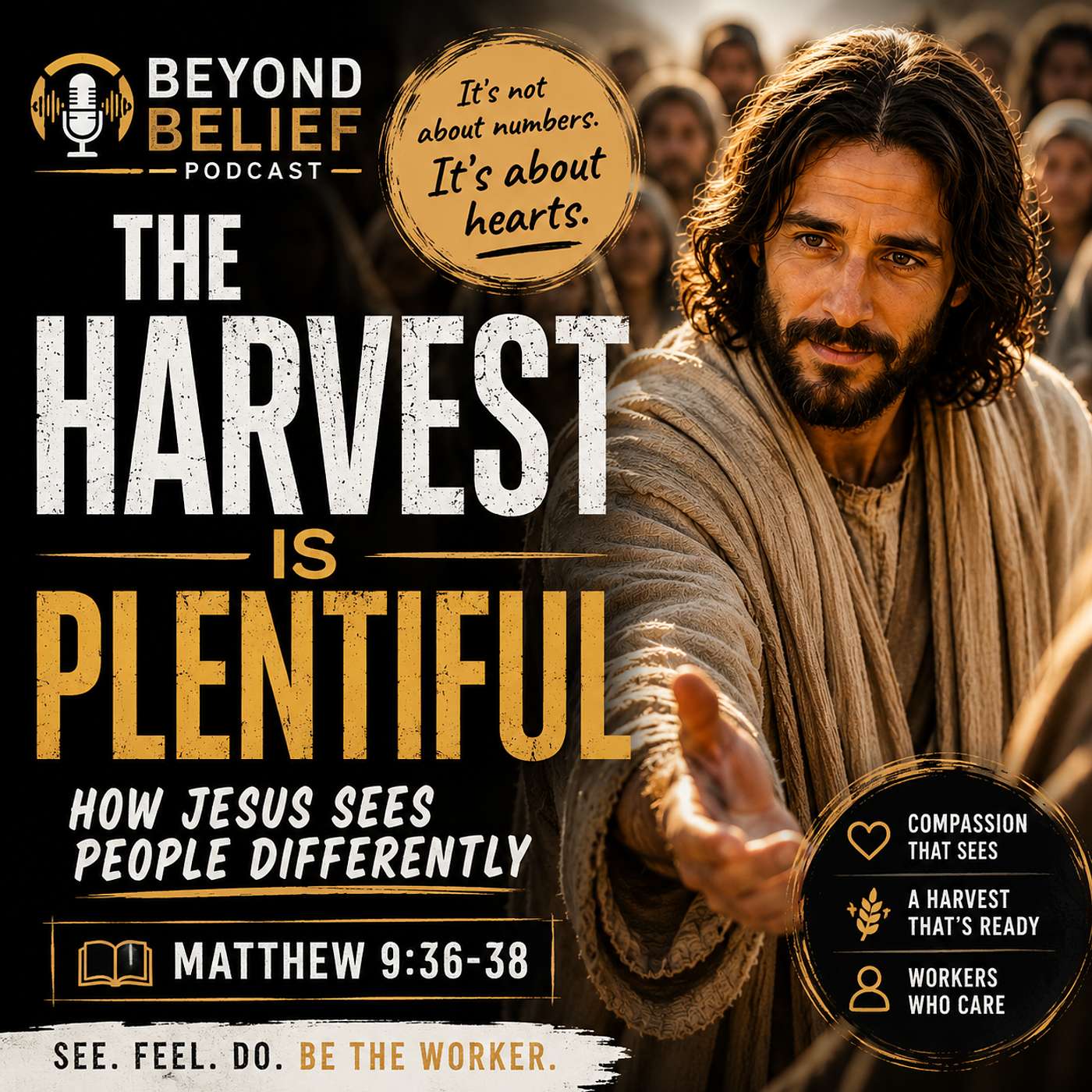 The Harvest Is Plentiful | Matthew 9:36-38 episode artwork