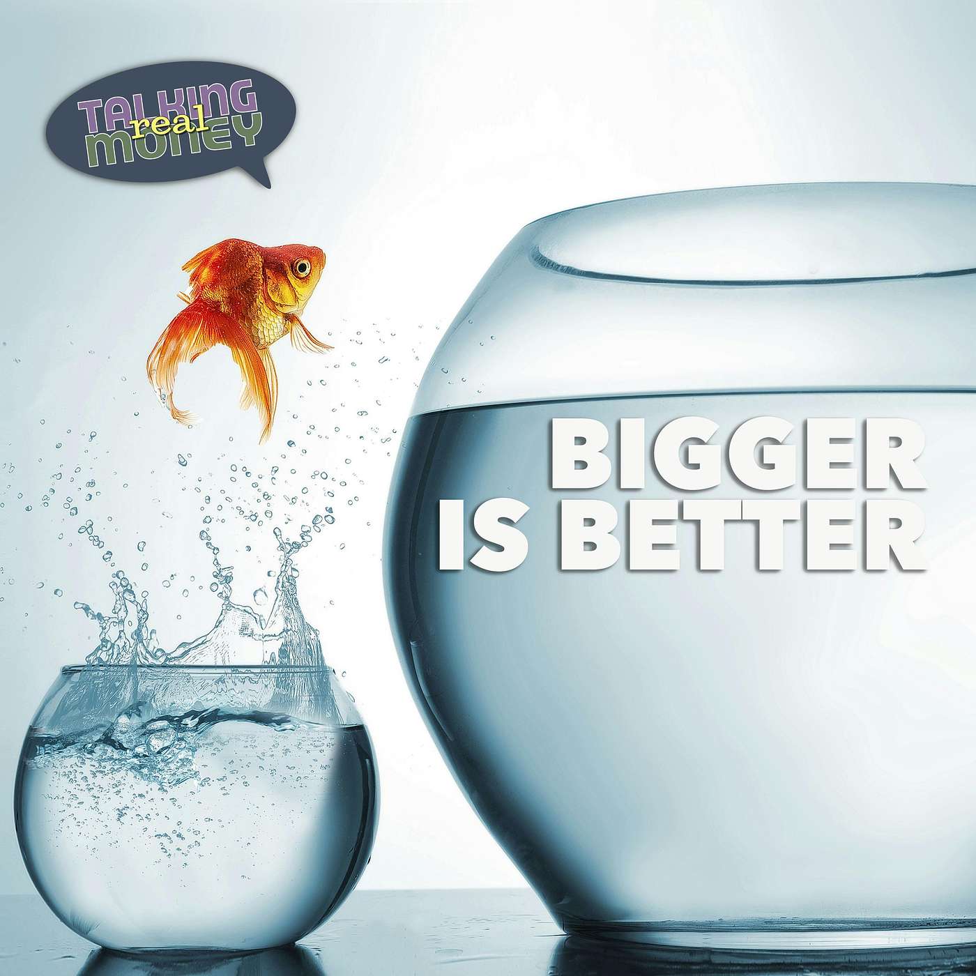 Dow or Total Market?