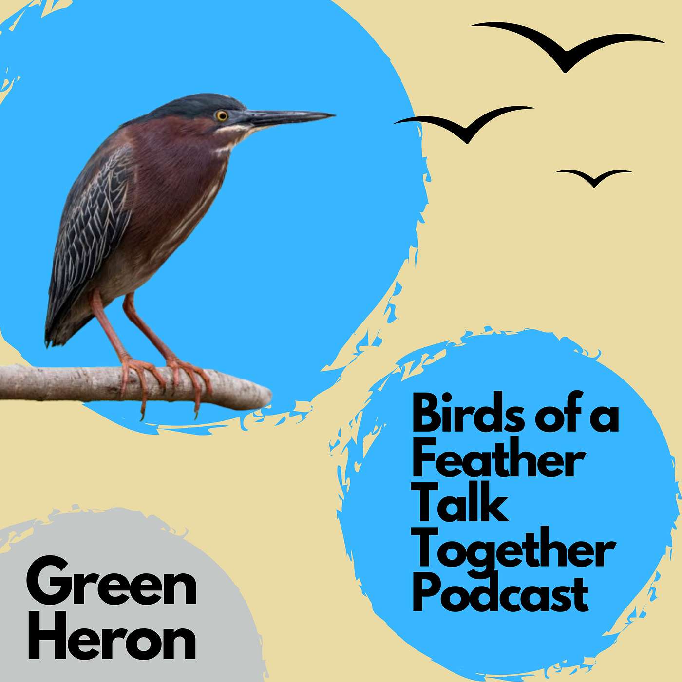 Birds of a Feather Talk Together