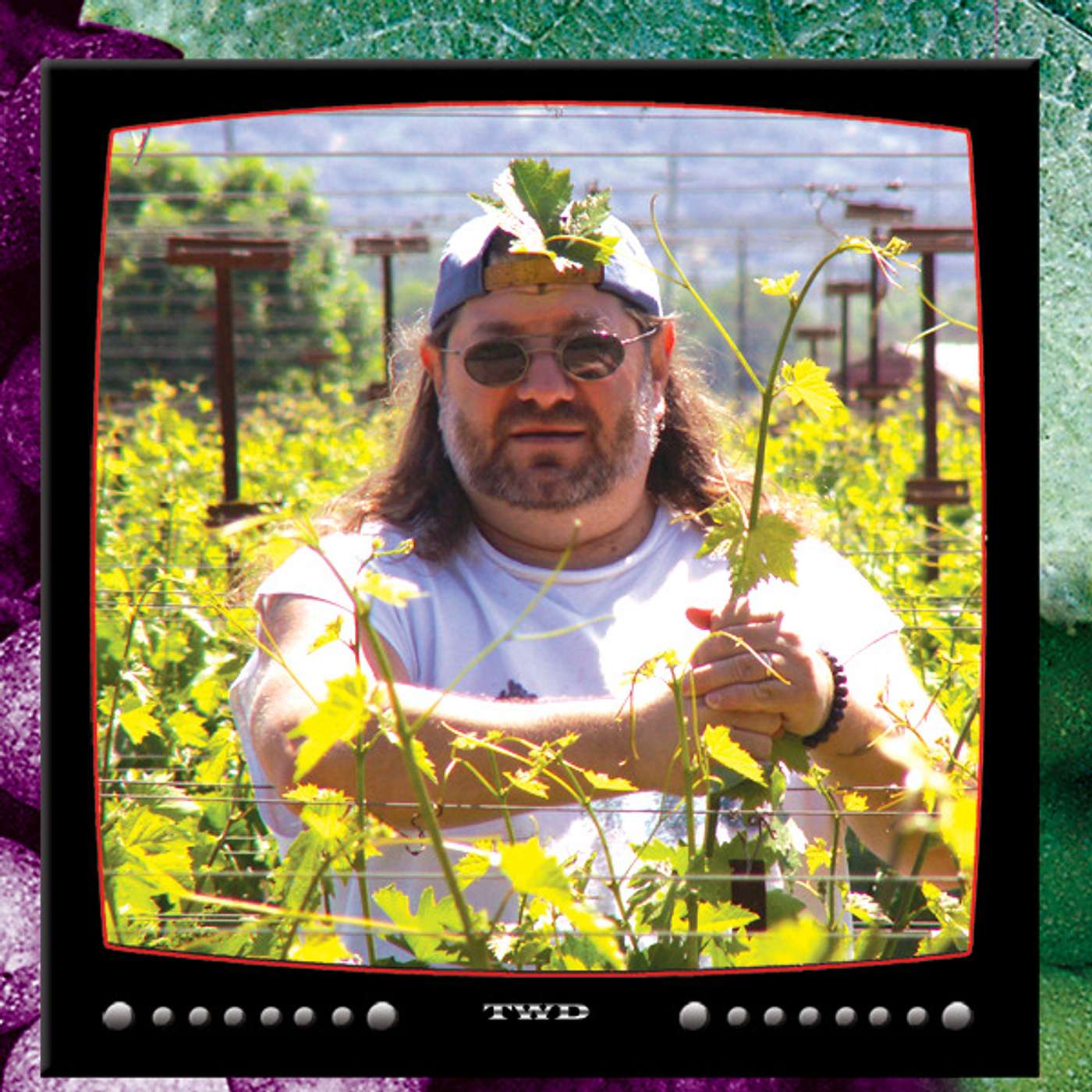 Episode 6: The Wine Dude - Geyser Peak Winery (Video) episode artwork