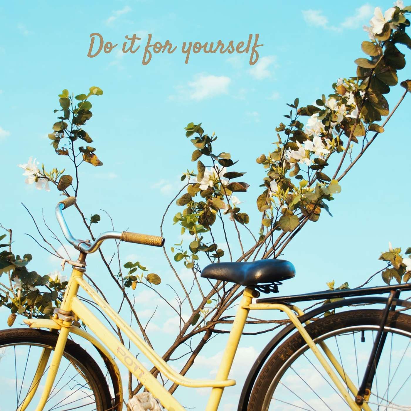 #73 Do it for yourself episode artwork