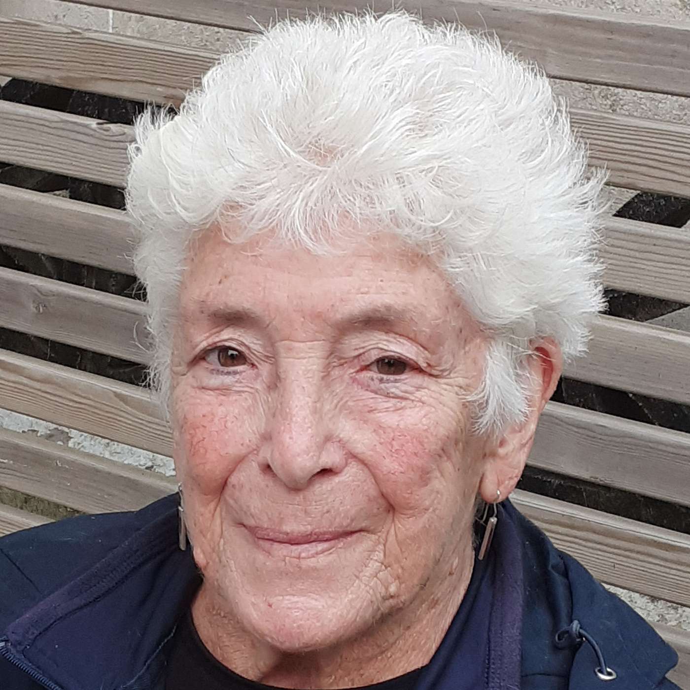 The Brighton Babbler