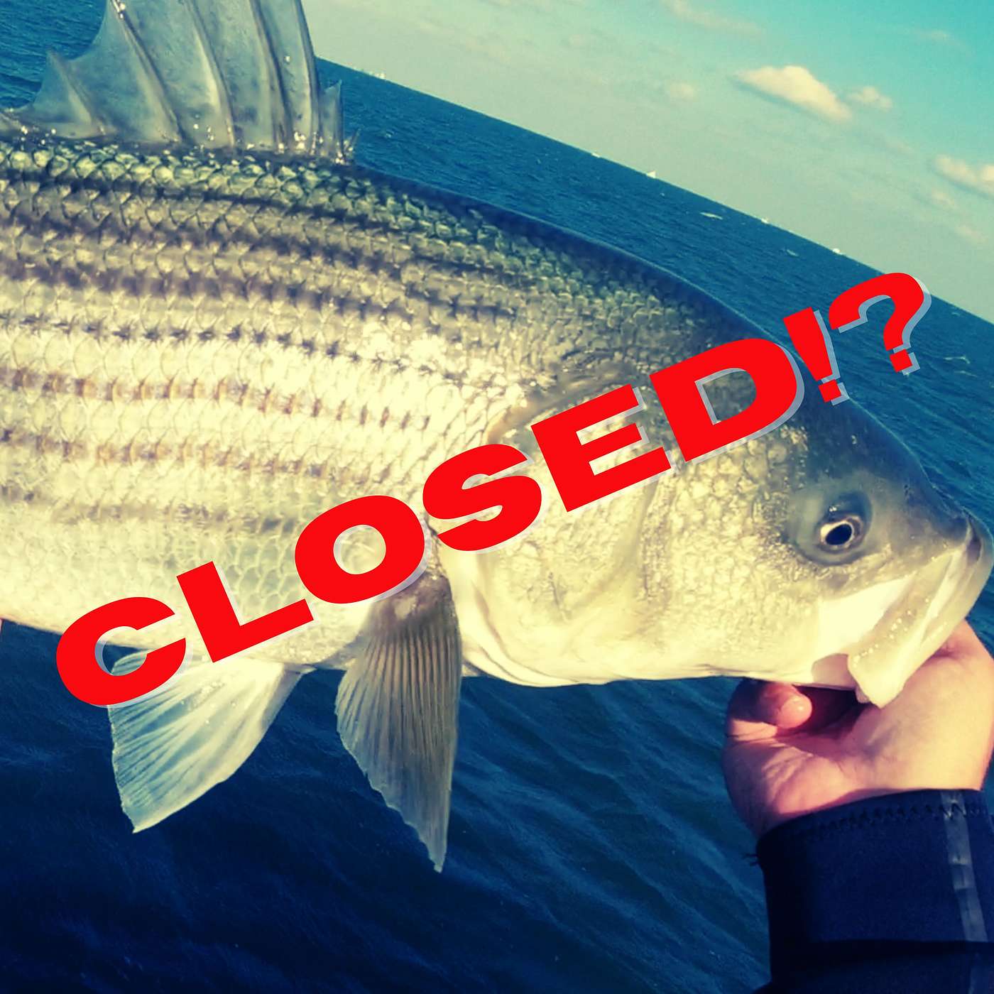 EP 47: Seasonal Closures, Flawed Data, and Striped Bass with Jim Hutchinson Jr.