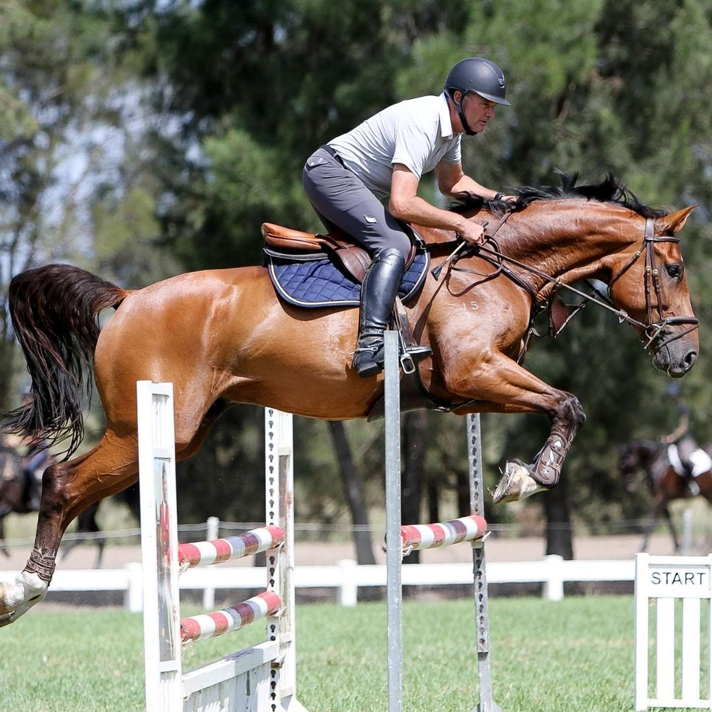 Equestrian Hub Podcast