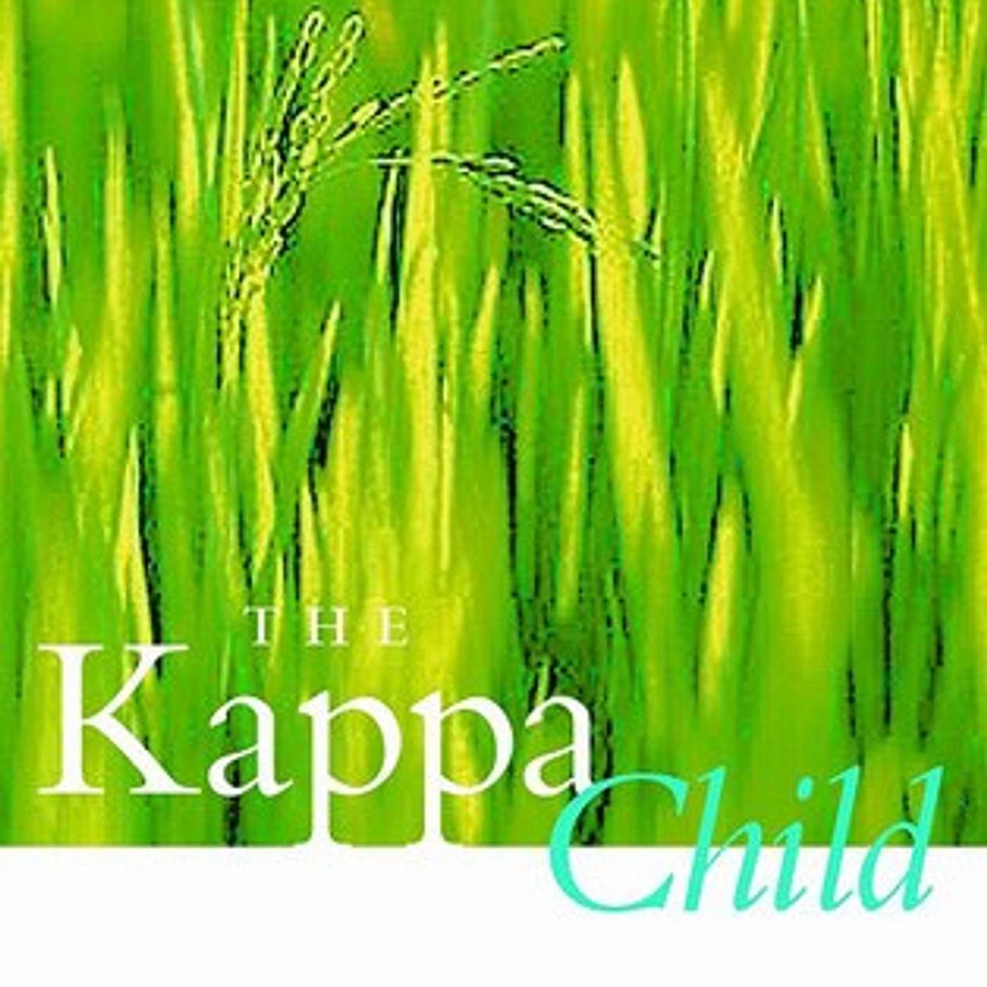 1.14 Interview with Rebekah Ludolph / Hiromi Goto's The Kappa Child