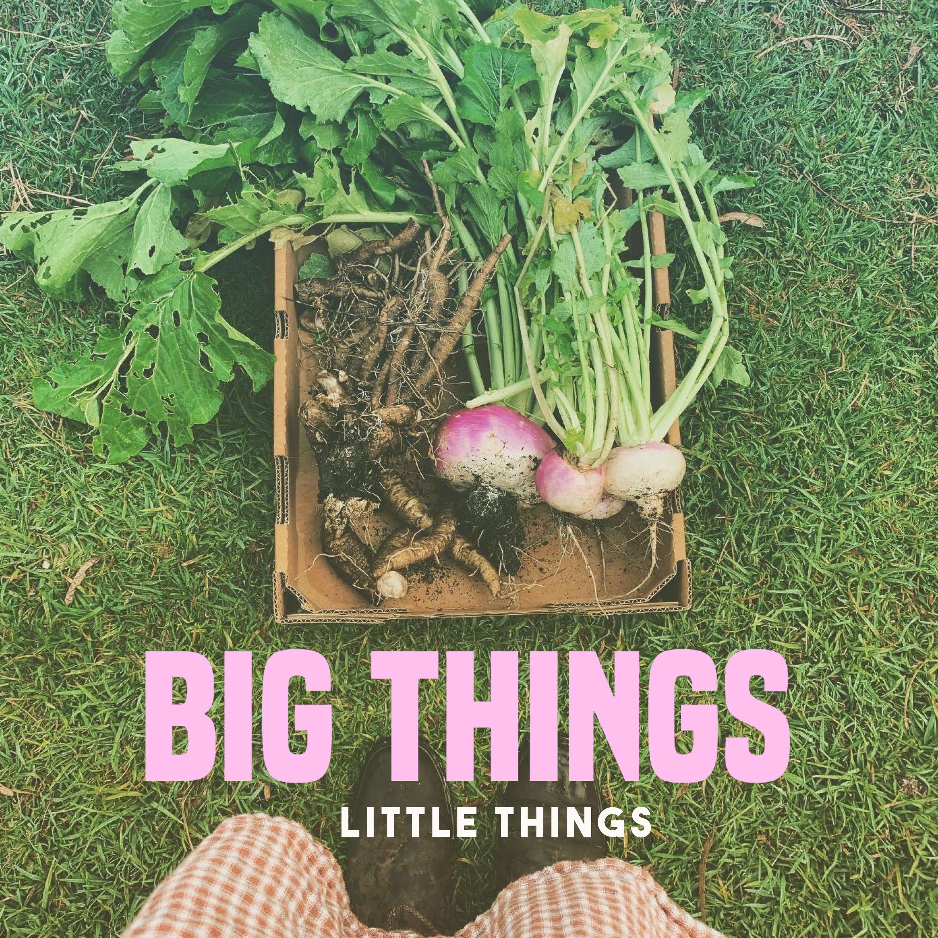 Big things. Little things. cover