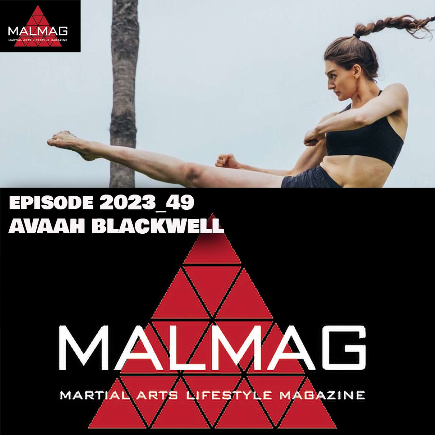The Martial Arts Lifestyle Podcast