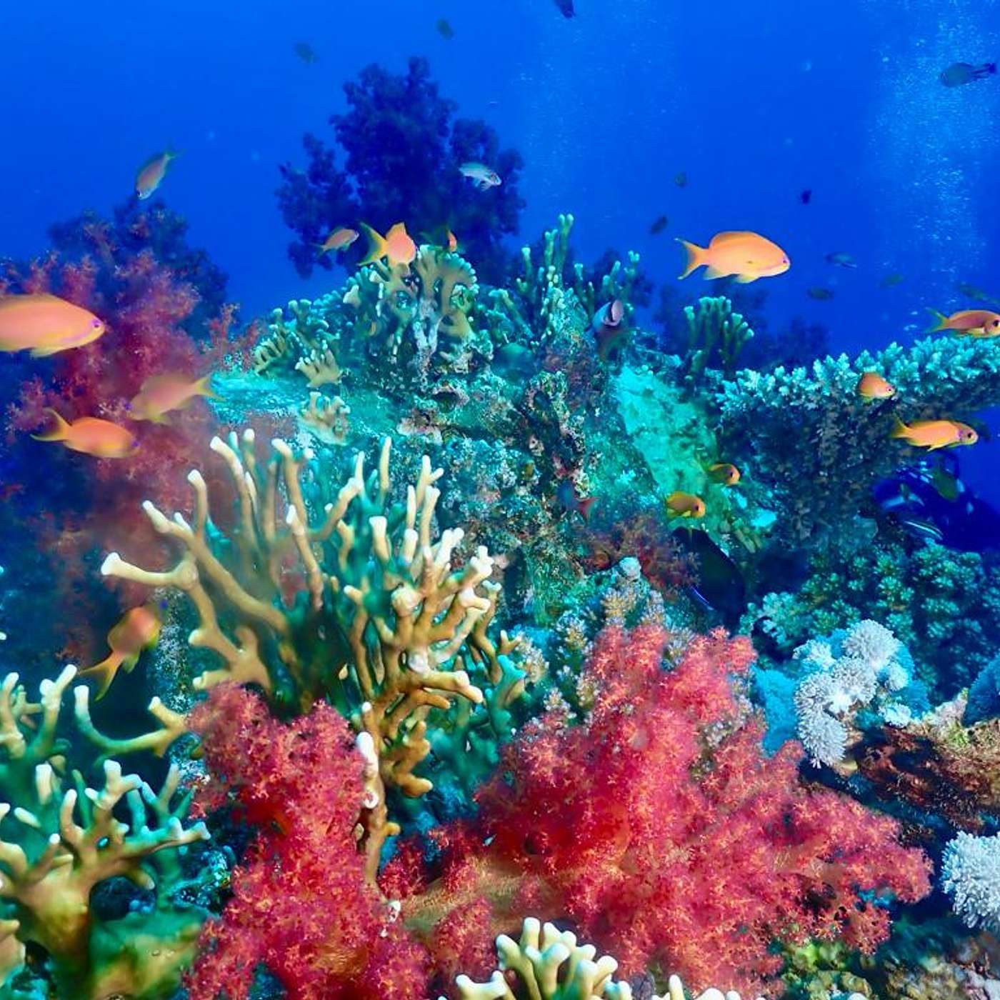 audioViajes: Experiencias Exquisitas.