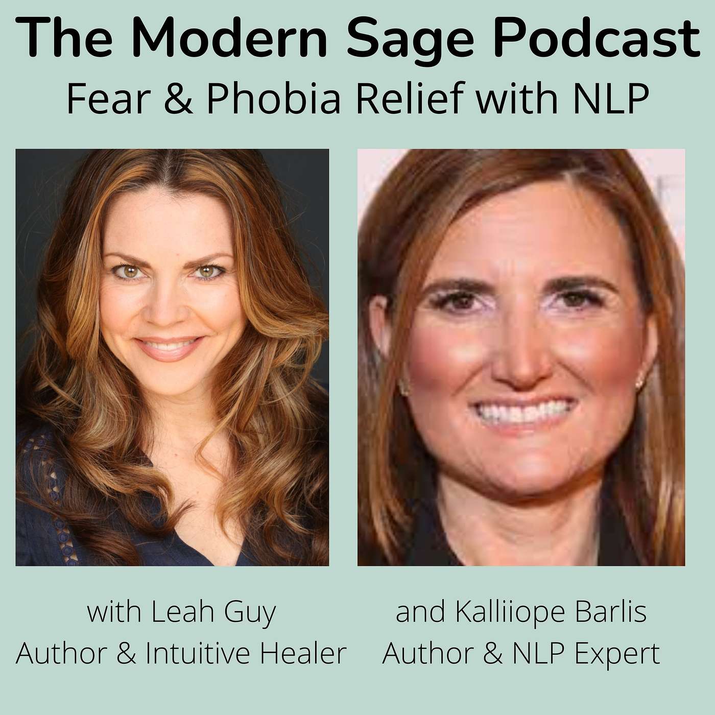 The Modern Sage Podcast
