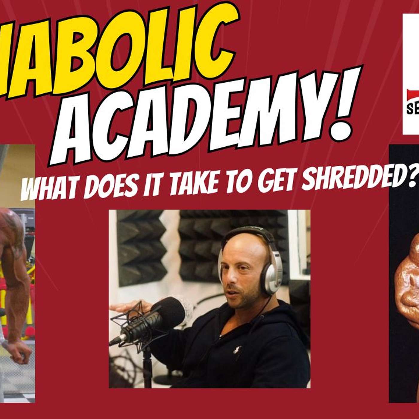 Serious and Silliness Bodybuilding