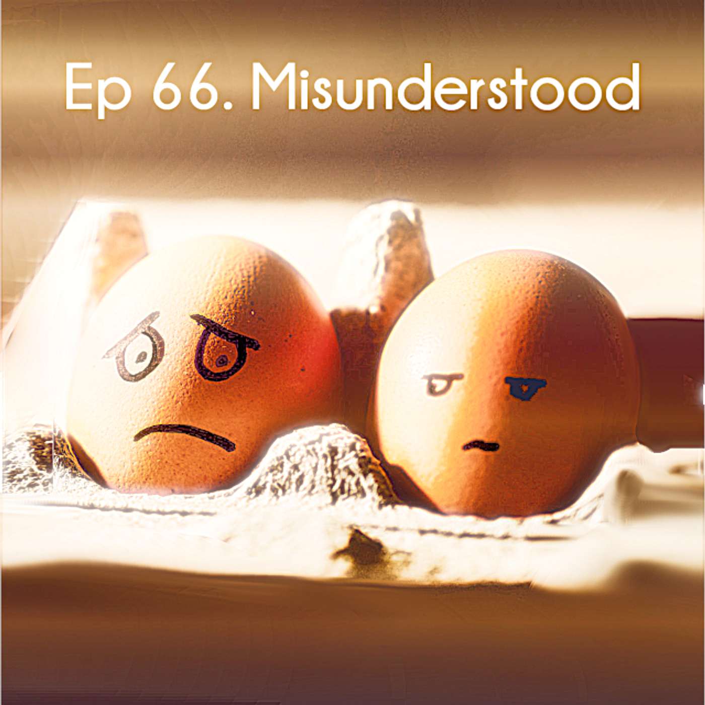 Ep 66. Misunderstood