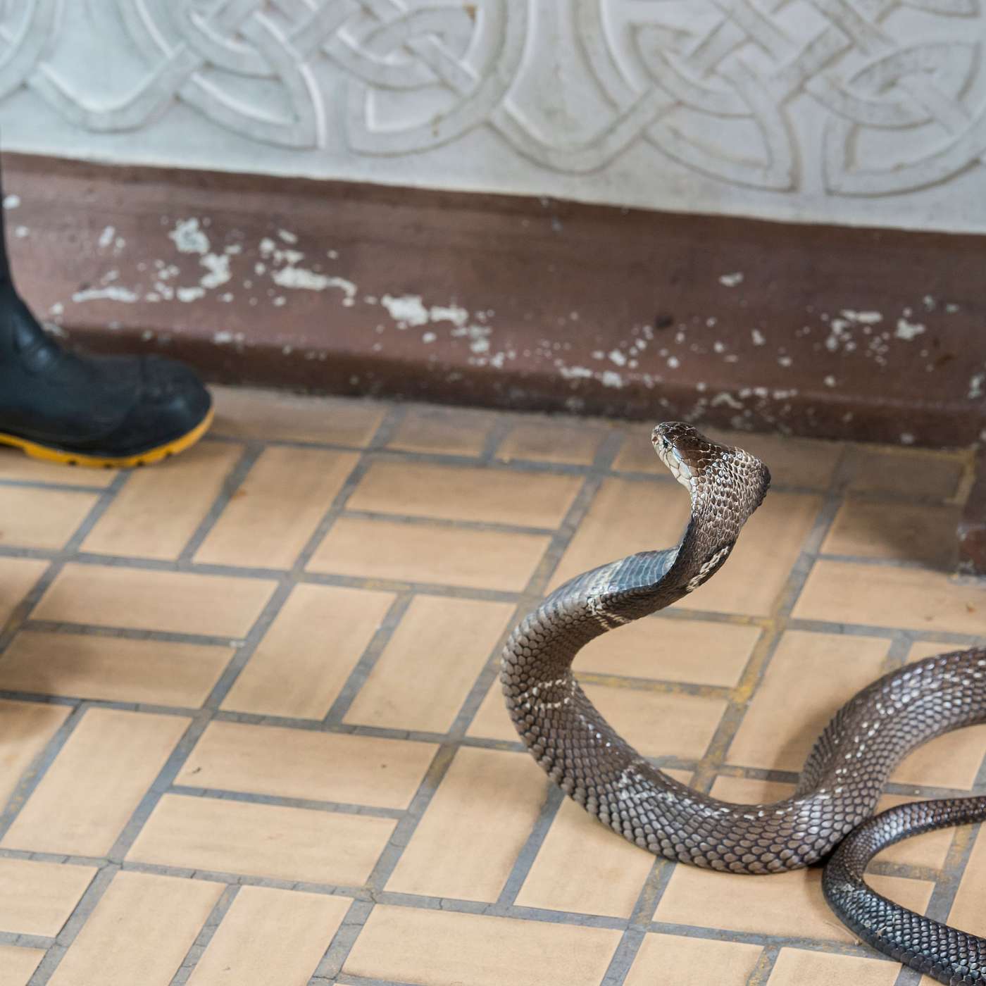 Spiritual Hotspots: Stories From the Field