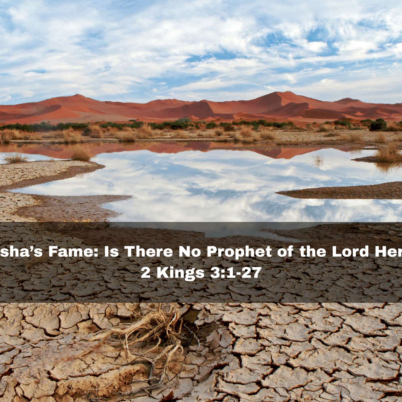 "Elisha's Fame: Is There No Prophet of the Lord Here?" 2 Kings 3:1-27
