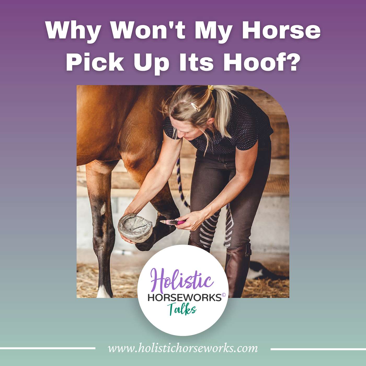 Holistic Horseworks Talks with April Love - Why Won't My Horse Pick Up Its Hoof?