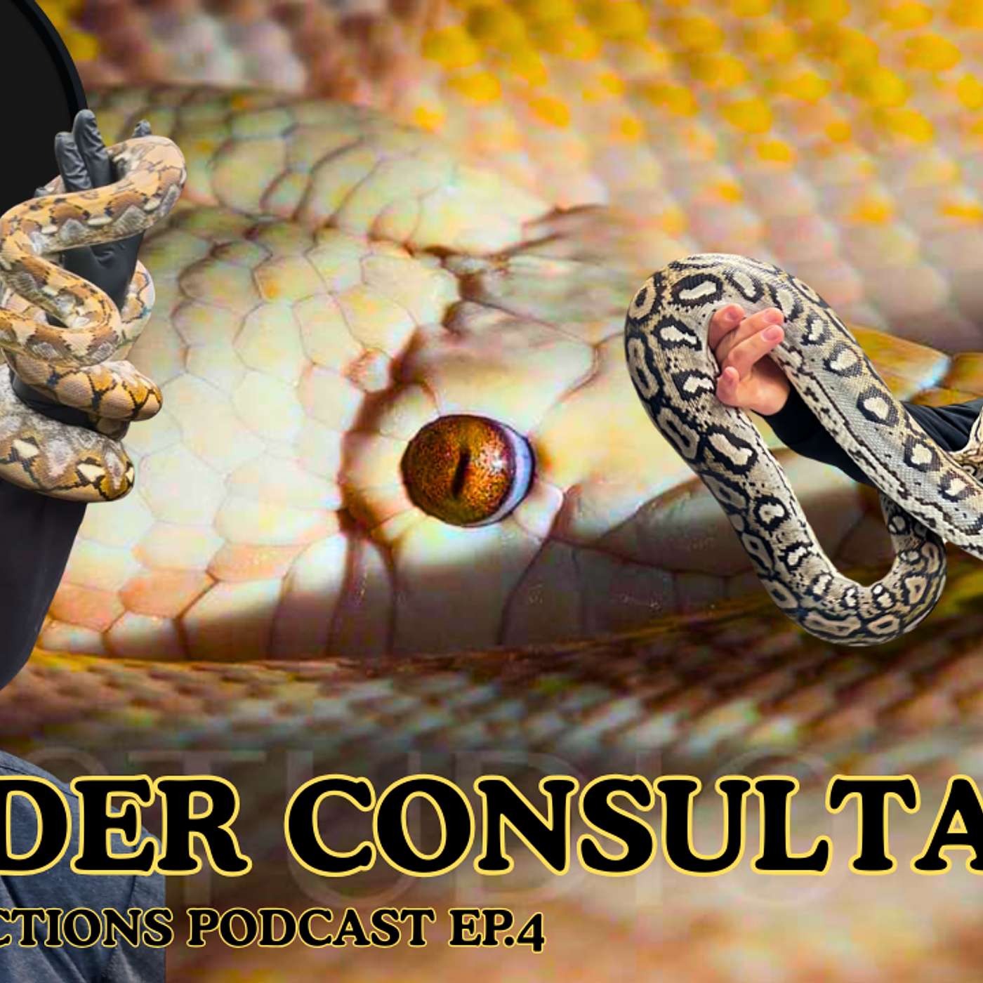 Breeder Consultation, Are You SURE You're Ready For It? | Retic Reflection Reptile Podcast Ep.4