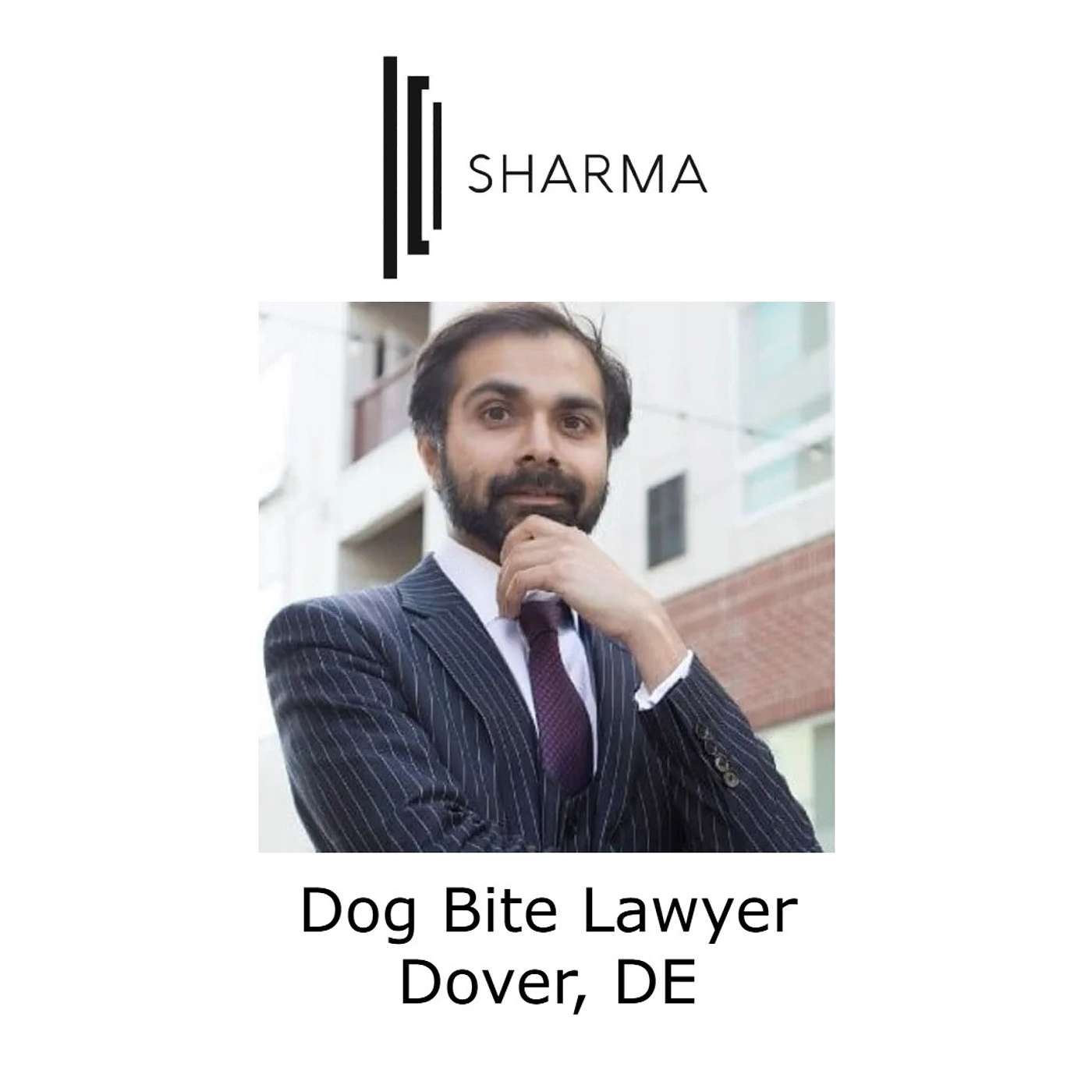 Dog Bite Lawyer Dover, DE episode artwork