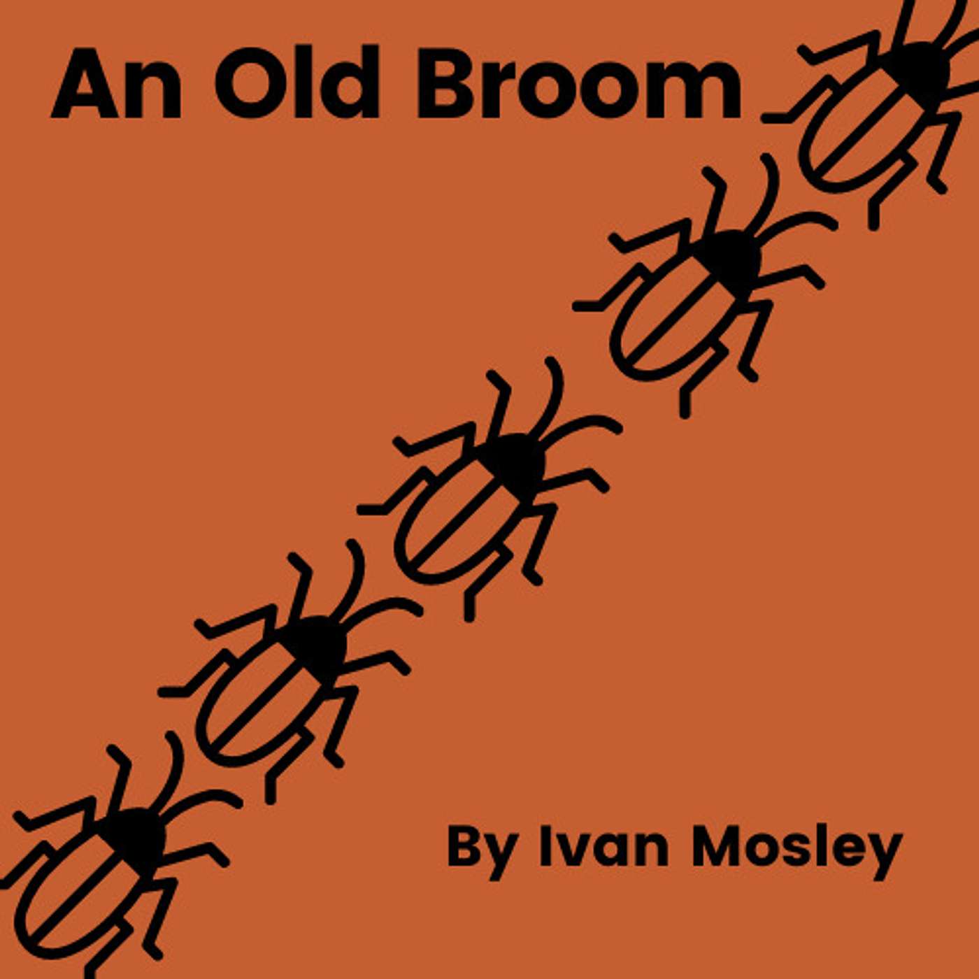 An Old Broom
