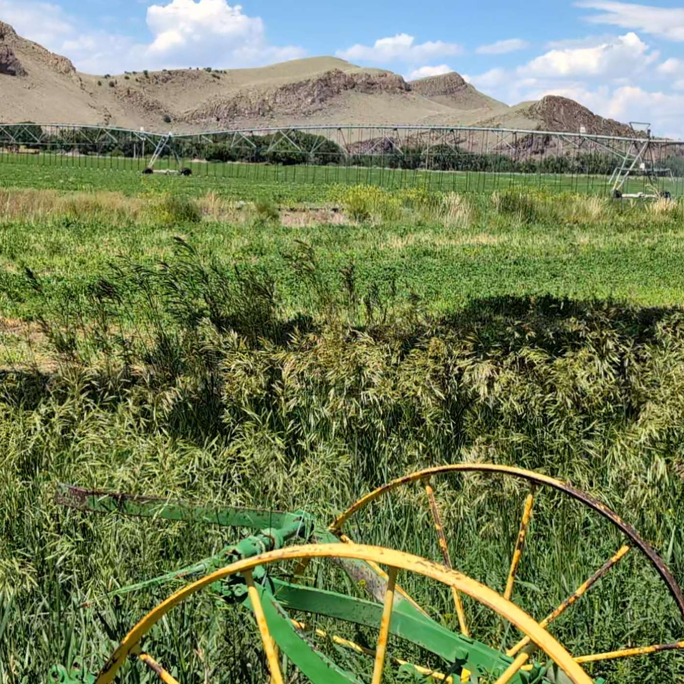 Durango Native Leads CSU Western Colorado Extension