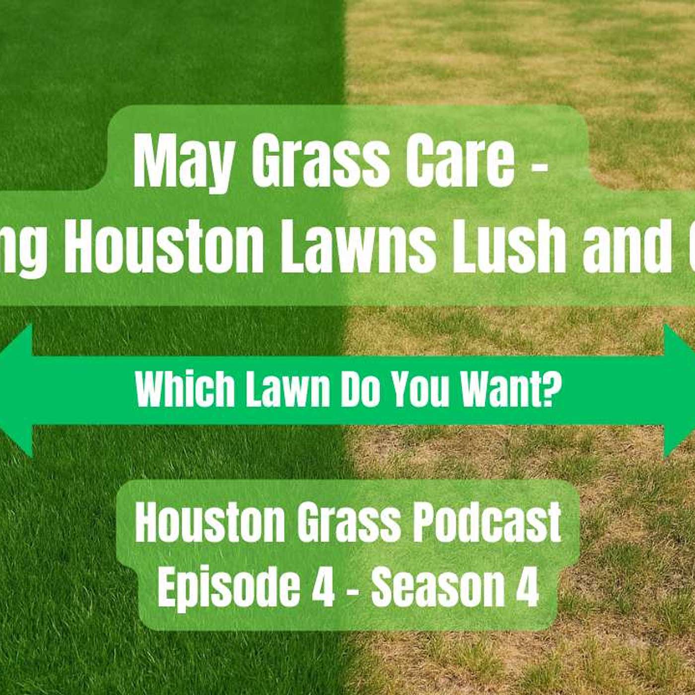 Houston Grass - How to Buy, Install and Care for Grass in the Houston Area