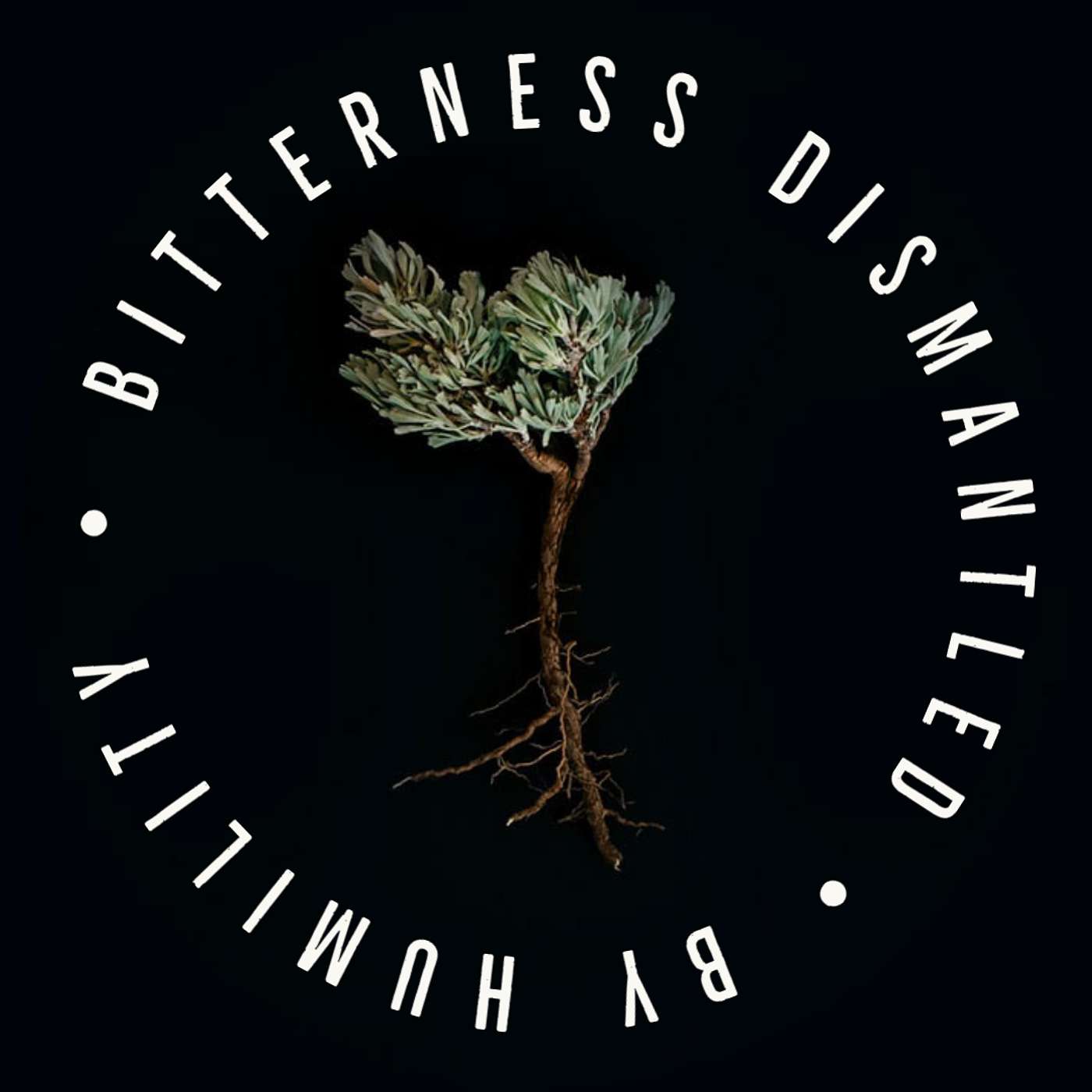 Bitterness Dismantled by Humility