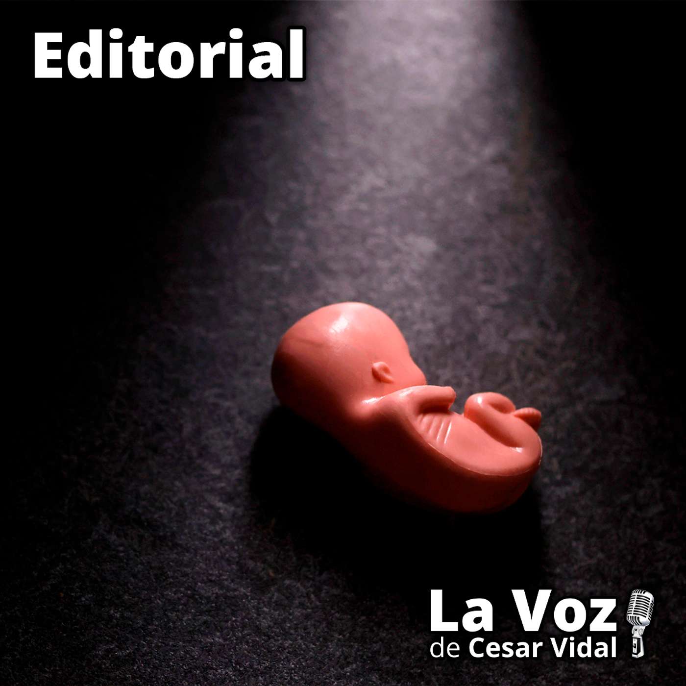 Editorial: El aborto se convierte en la principal causa de mortalidad - 14/01/26