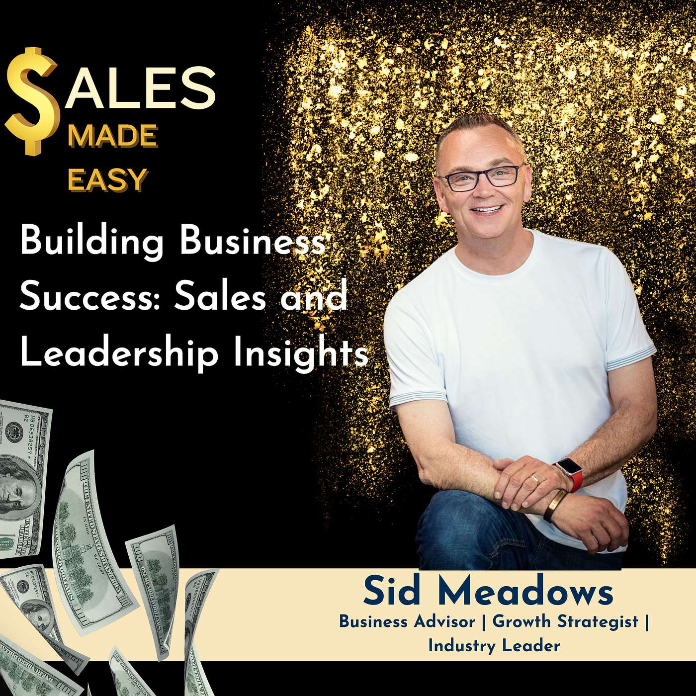 Ep 230 | Building Business Success: Sales and Leadership Insights with Sid Meadows