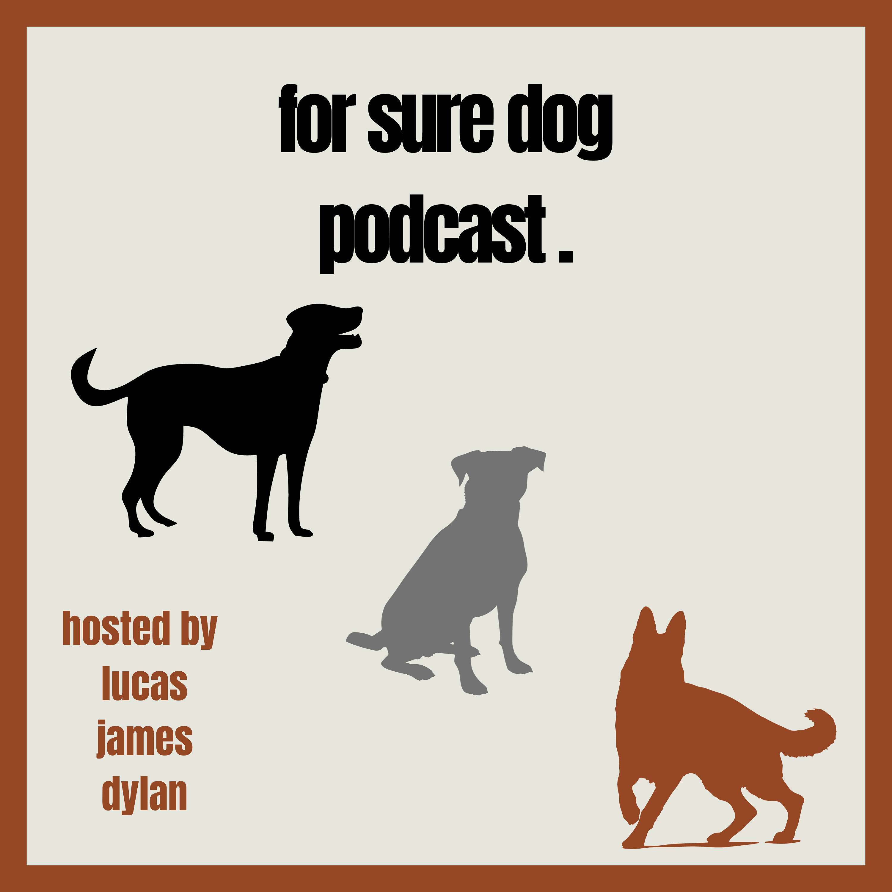 For Sure Dog Podcast