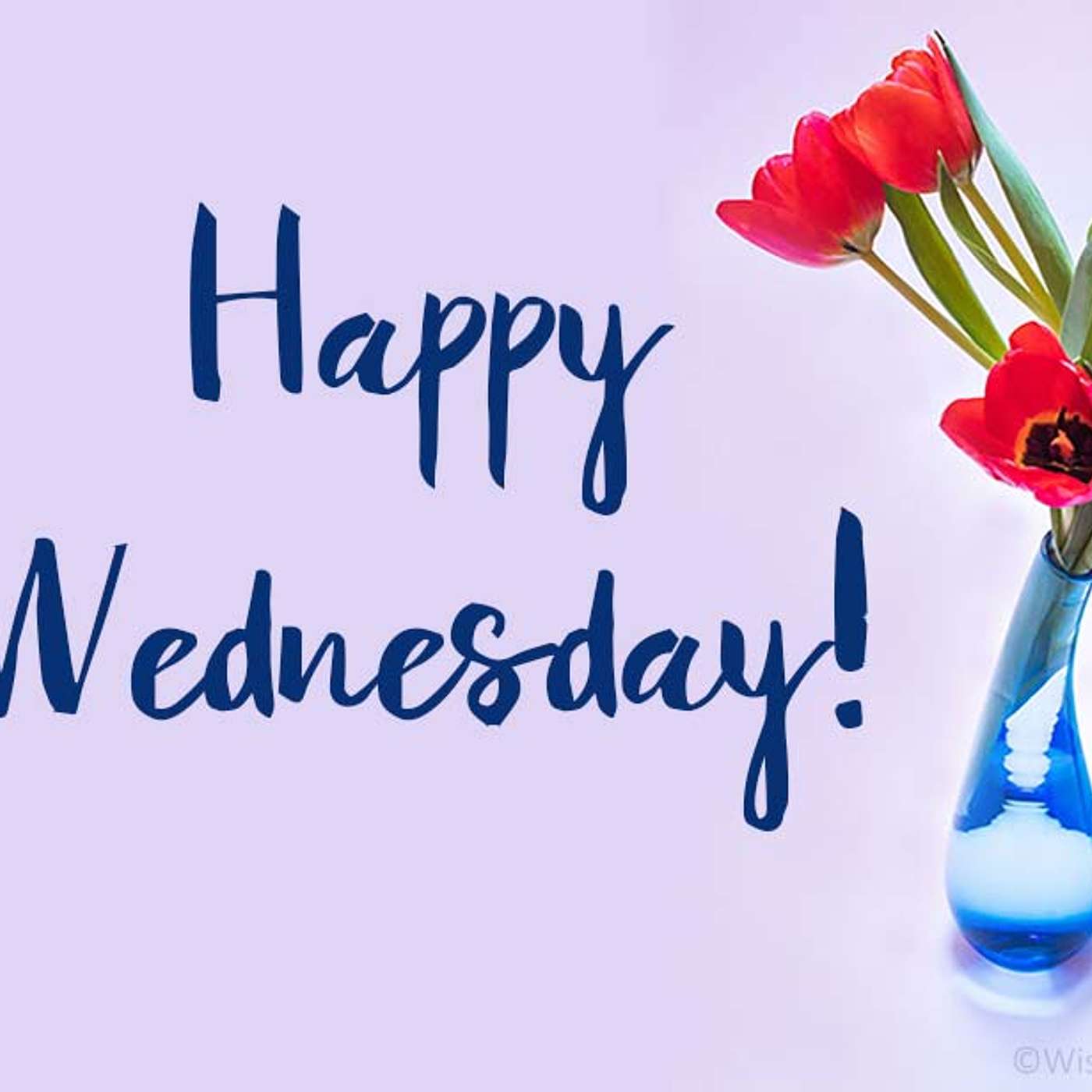 Happy Wednesday episode artwork