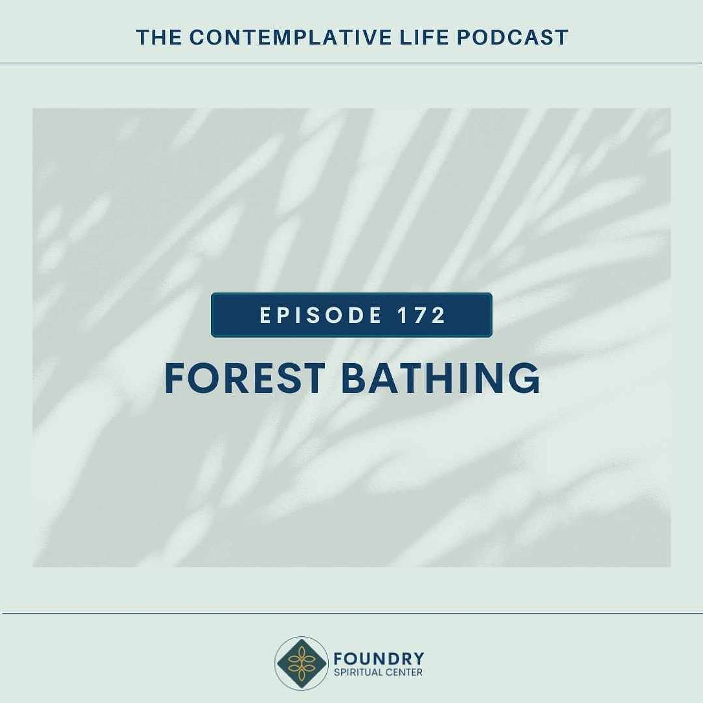 E 172  Forest Bathing (with Pastor Zayna Thomley)