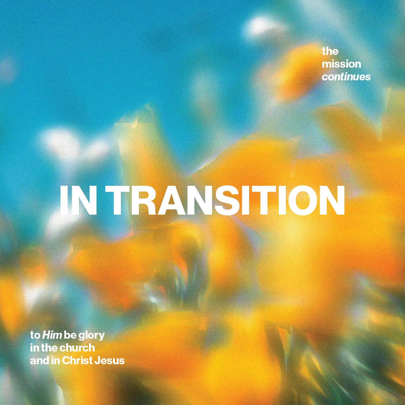 In Transition: The Mission Continues (Tim Hoogenboom)