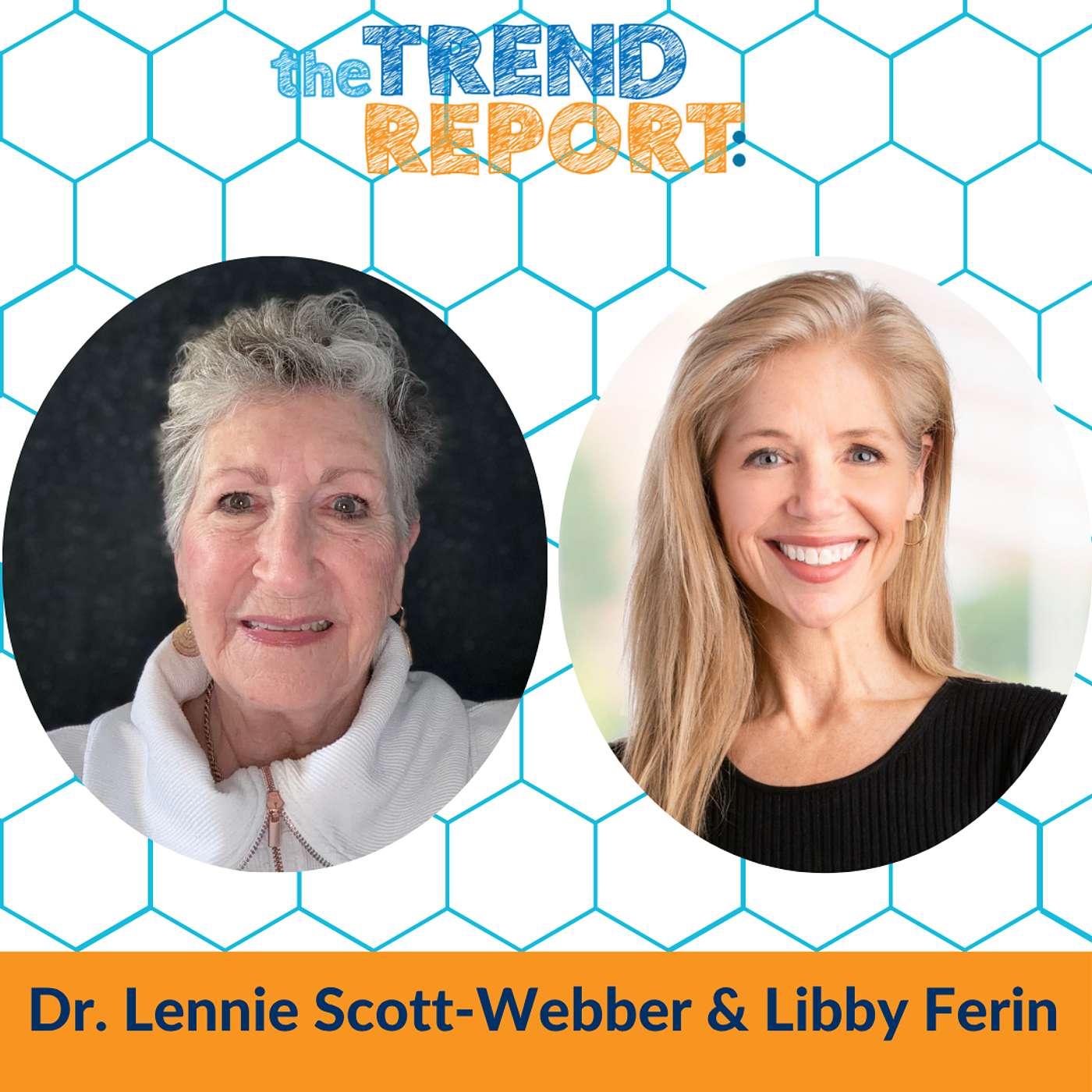 Future Ready Learning Environment with Dr. Lennie Scott-Webber and Libby Ferin of Marco episode artwork