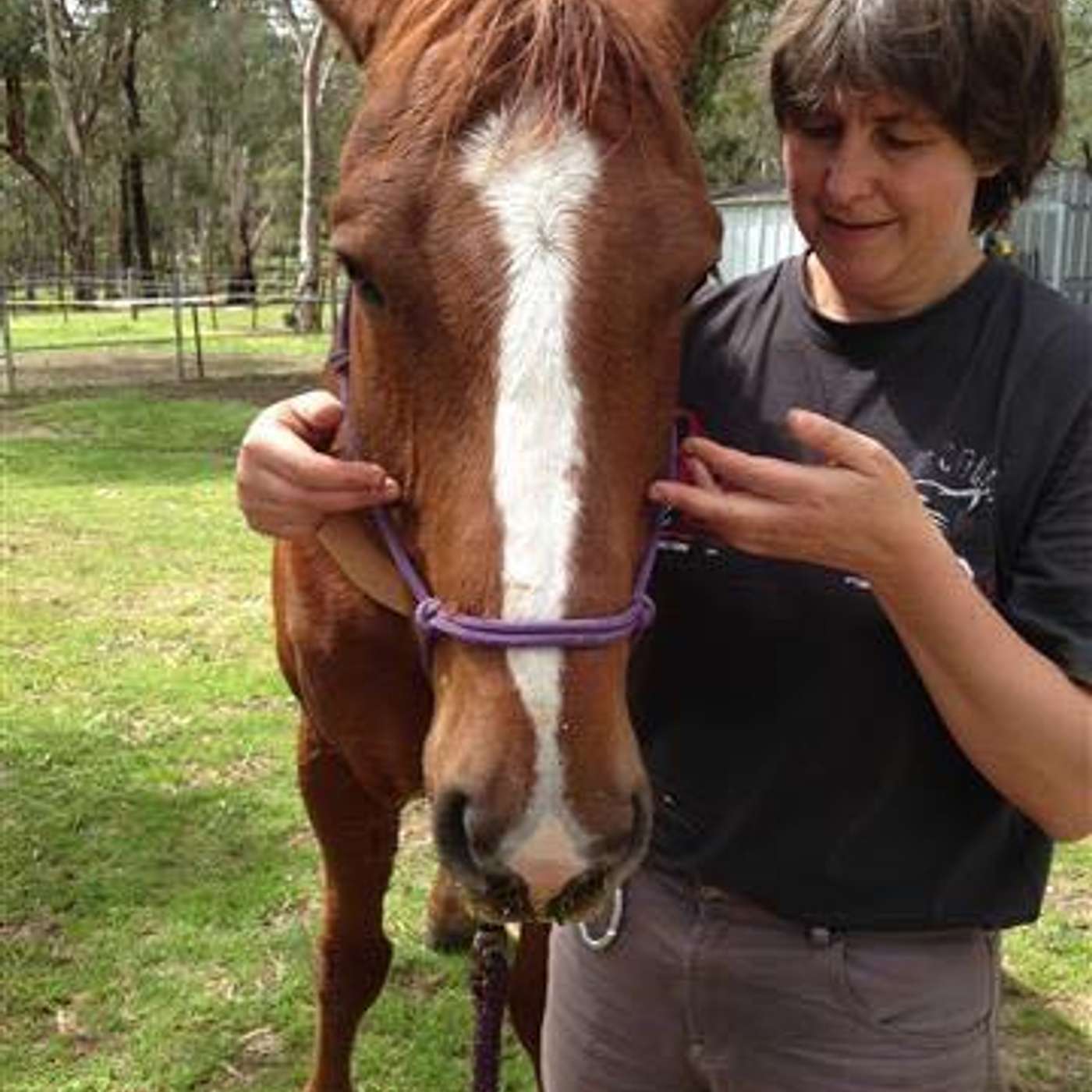 Holistic Horseworks Talks with April Love
