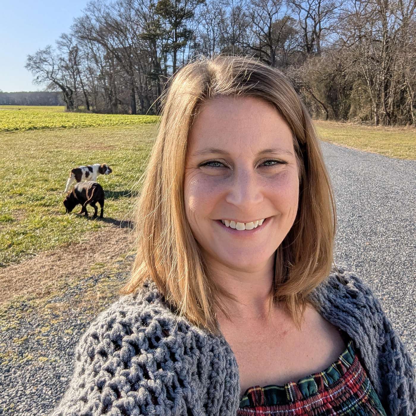 The Wholehearted Enneagram Podcast