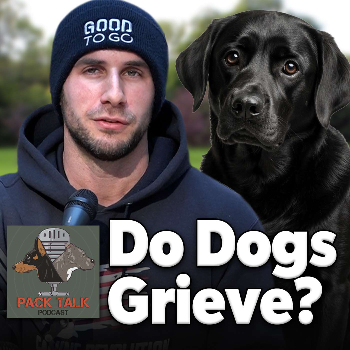 #150 Do Dogs Grieve? Understanding Canine Loss & How to Help Your Dog Heal