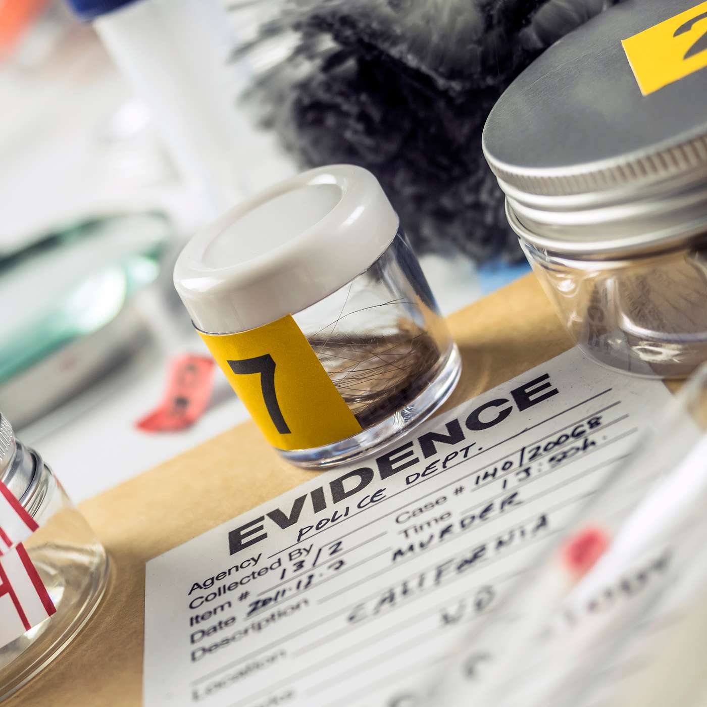 The Michael Jackson Case for Innocence Podcast