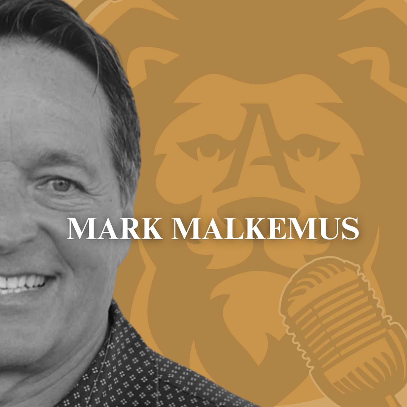 In The Arena Podcast