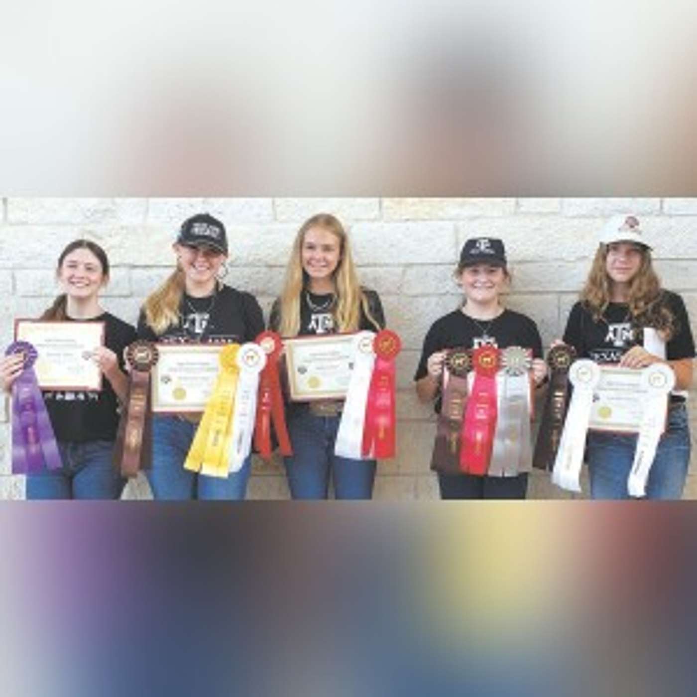 Wilson County 4-H, Stockdale FFA members place in horse judging events episode artwork