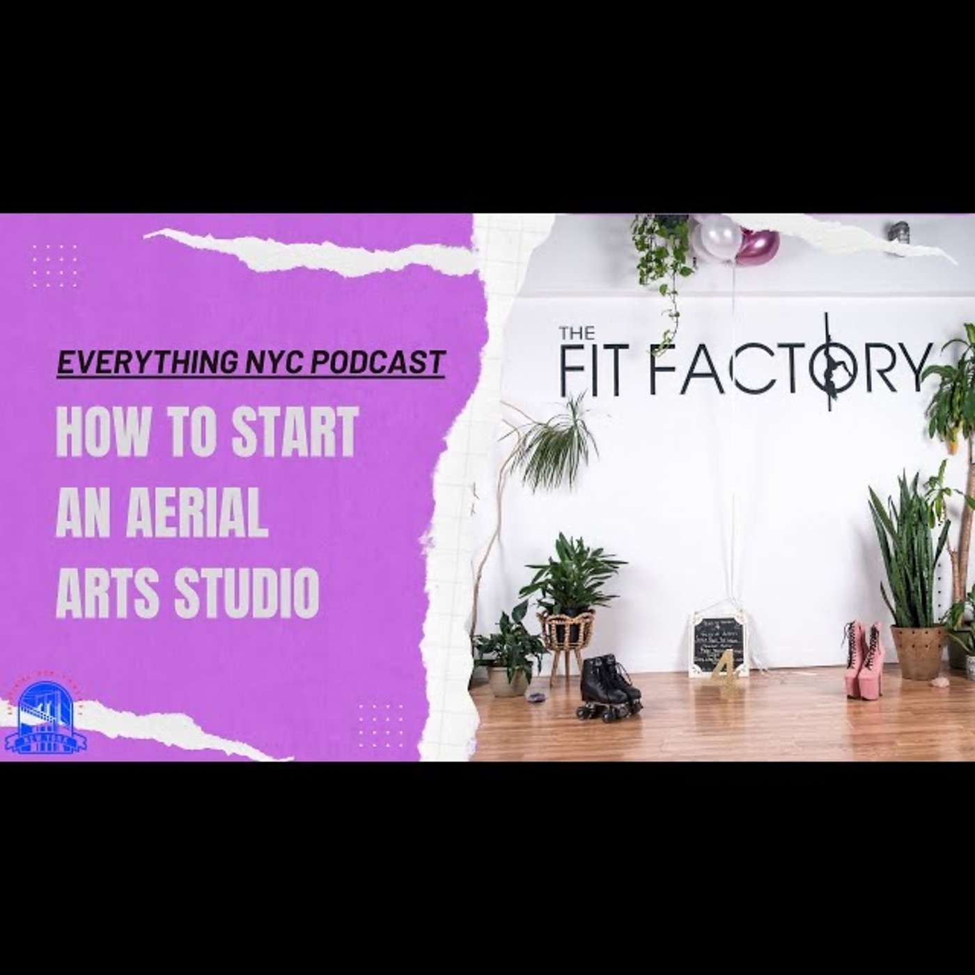How To Start An Aerial Arts Studio